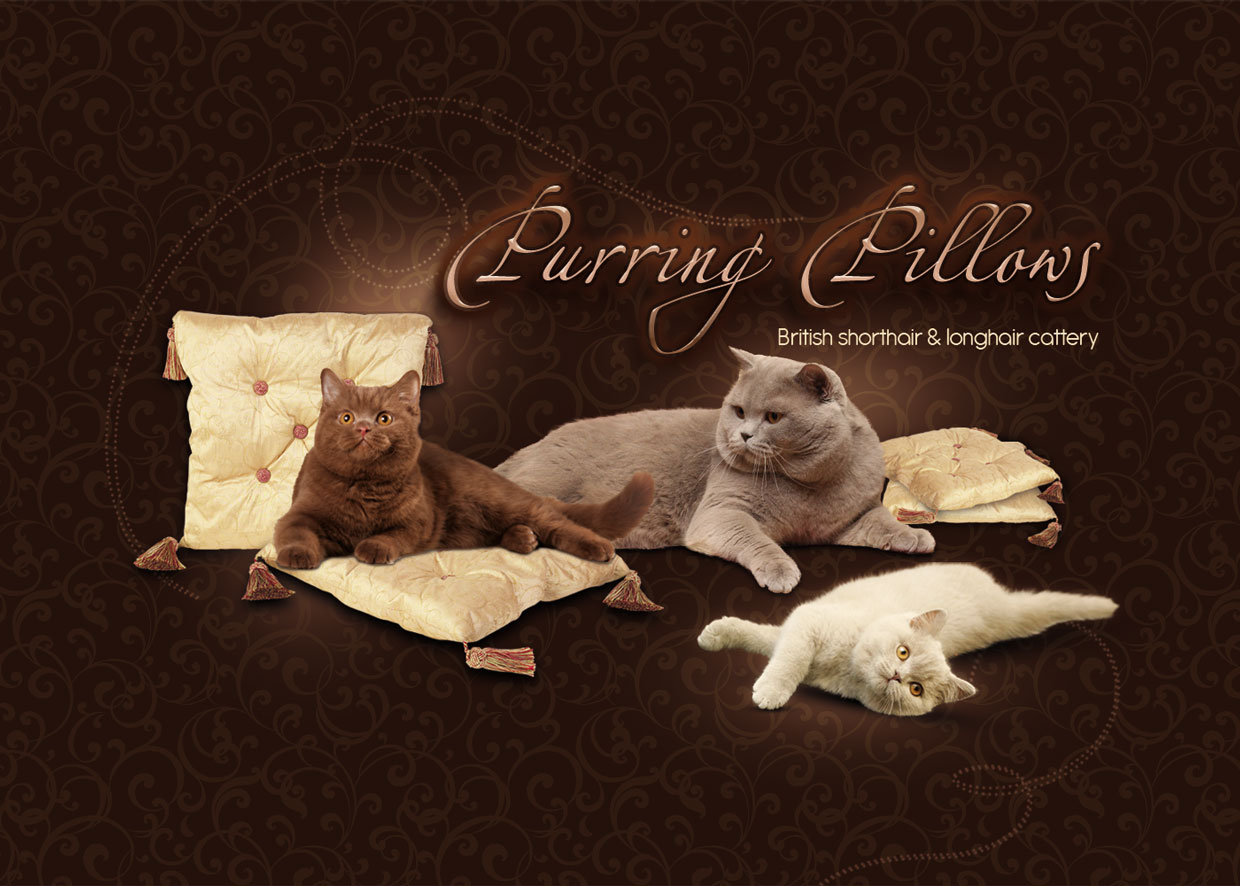 Purring Pillows